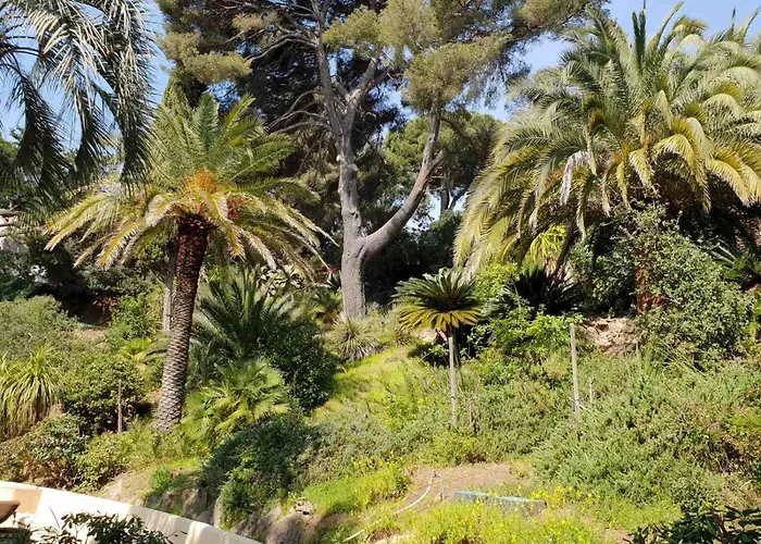 La Renarde * Le Lavandou